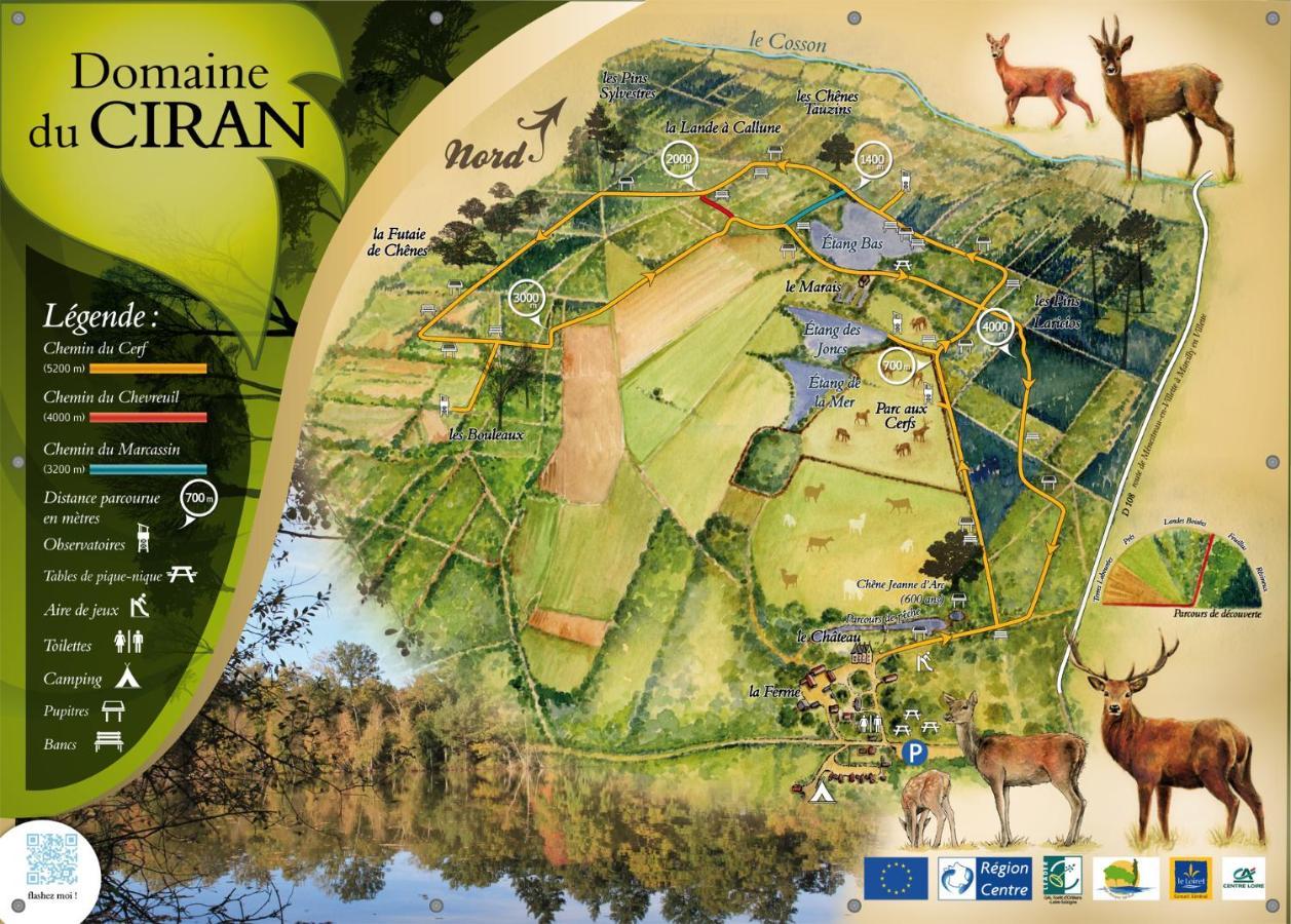 Le Cocoon D'Annabelle - Jolie Maison Avec Jeux Et Grand Jardin Pierrefitte-sur-Sauldre Exteriör bild